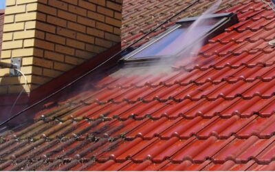 Roof Cleaning Logan – Protecting Your Roof from Damage
