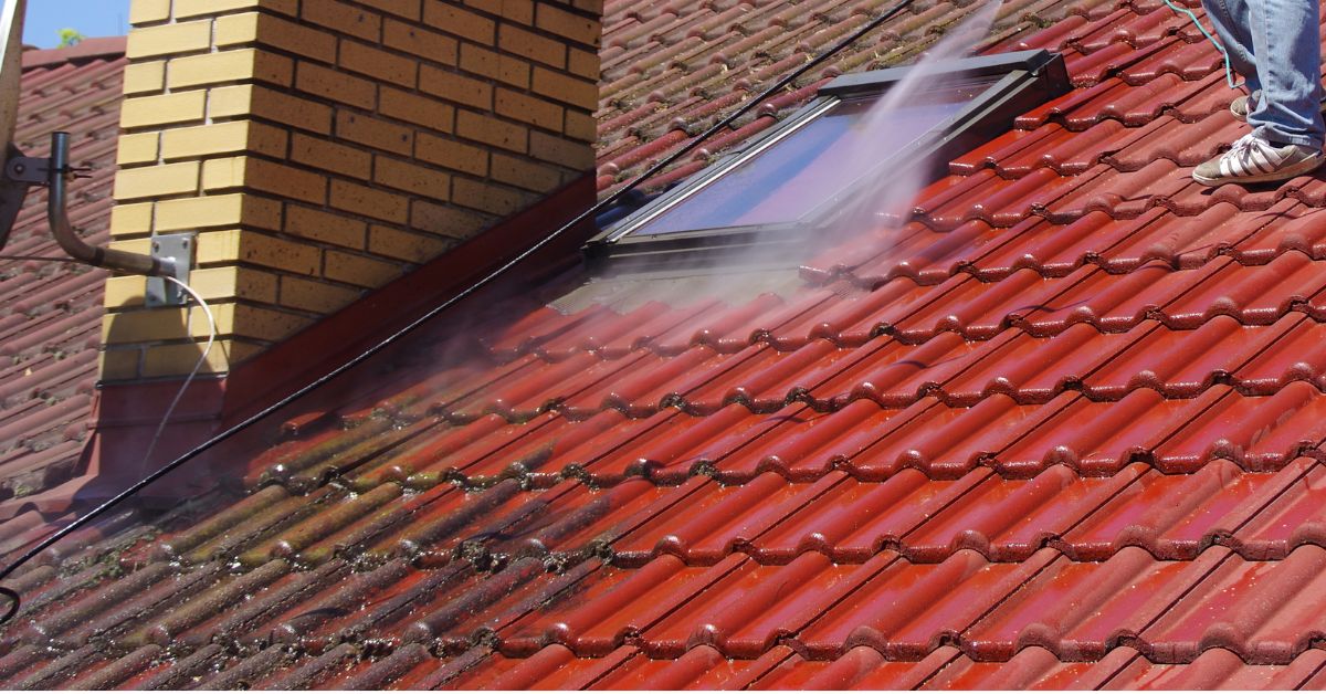 Roof Cleaning