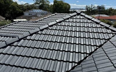 Roof Painting Logan – Transforming Your Home’s Look