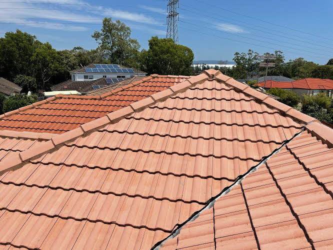 Roof Restoration Logan
