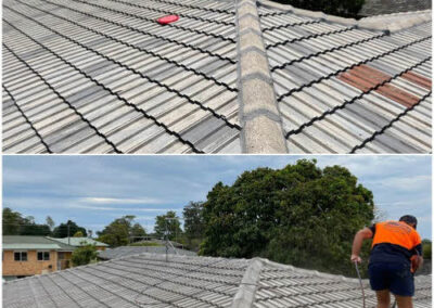 Roof Painting Logan